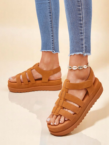 Camel || pruun