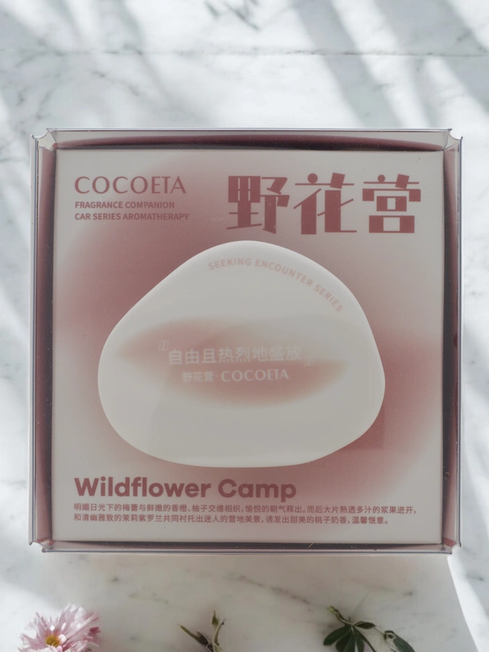 Автомобильный ароматизатор 160 мл