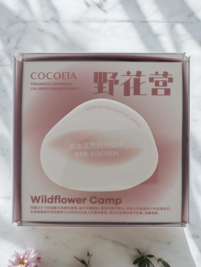 Car fragrance diffuser 160 ml