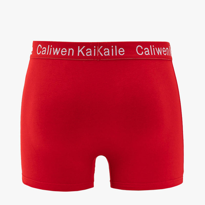 Red men's Christmas boxer shorts - Underwear
