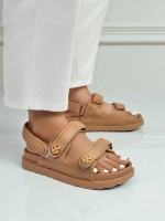 Camel || pruun