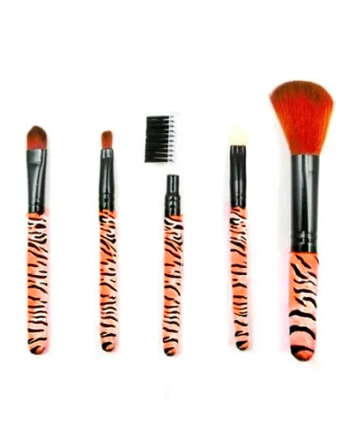 Compact makeup brush set
