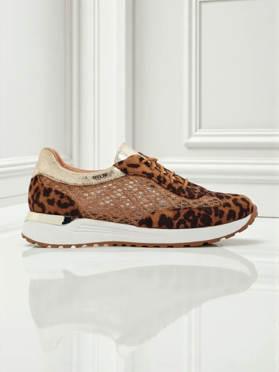 Royalfashion Naiste spordijalatsid Diurra