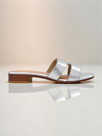 Royalfashion Women's Flat Flip-Flops SilverEase