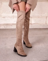 светло-коричневый || коричневый