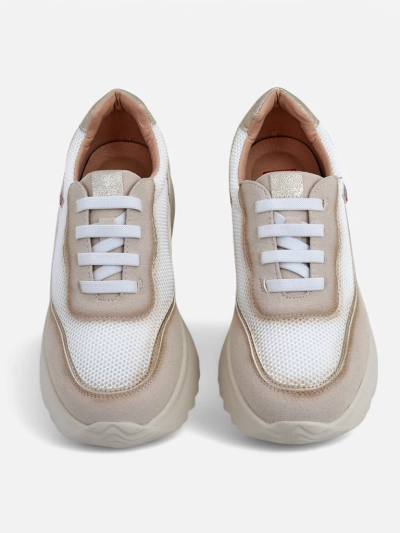 Royalfashion Women's Sneakers Zarrni