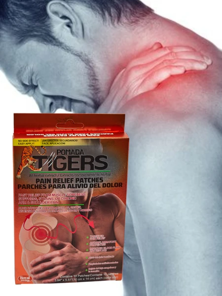 Pain Relief Patches 10 pieces