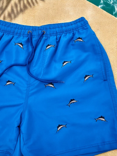 Royalfashion Sportlikud meeste lühikesed püksid kaitsva võrguga