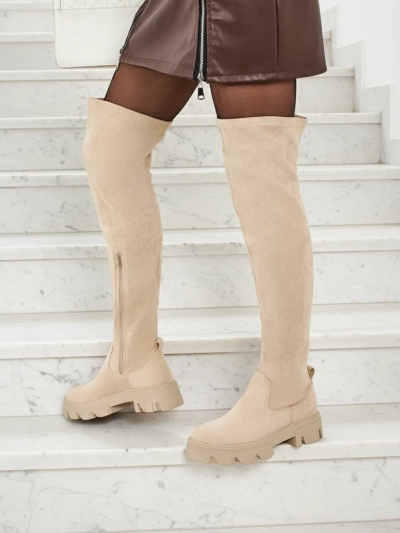 Женские ботфорты из эко-замши Maelin