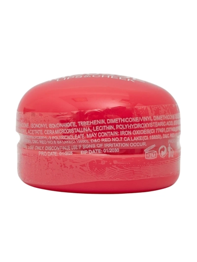 2-in-1 Lipstick and Blush Wild Moment