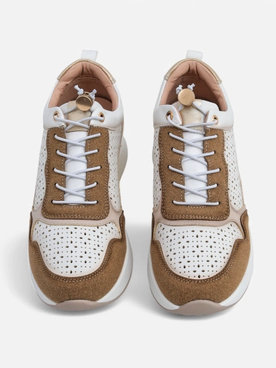 Royalfashion Женские кеды на танкетке Zerrni