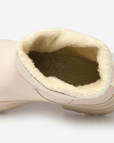 Royalfashion Beežid matt naiste paksema tallaga saapad Holeopi